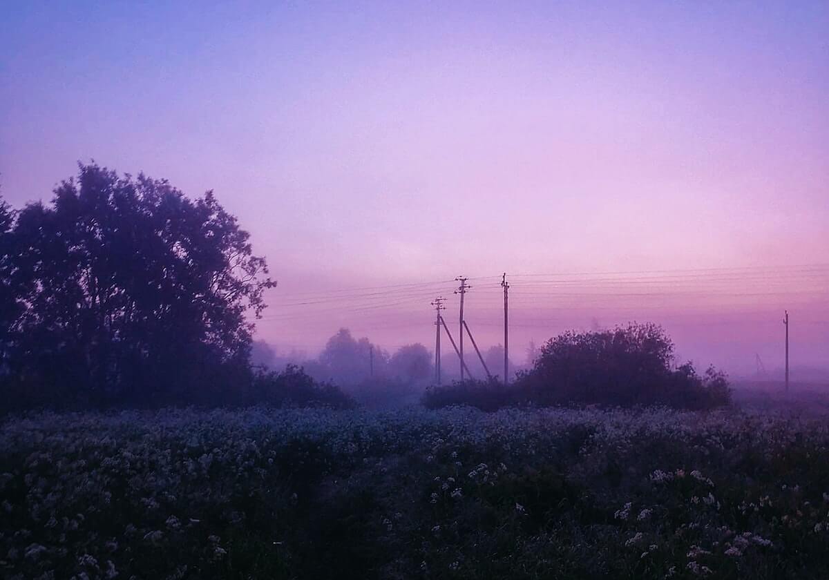 OD体育官网-【观察】2020选秀小年，尼日利亚篮球却迎来大丰收